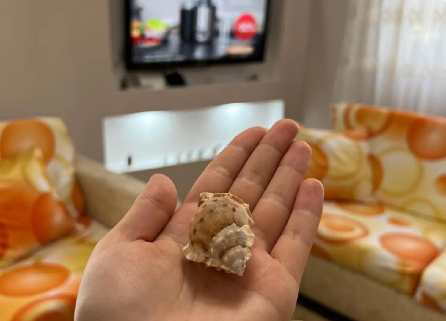 Seashell Apartament Golem  Albania
